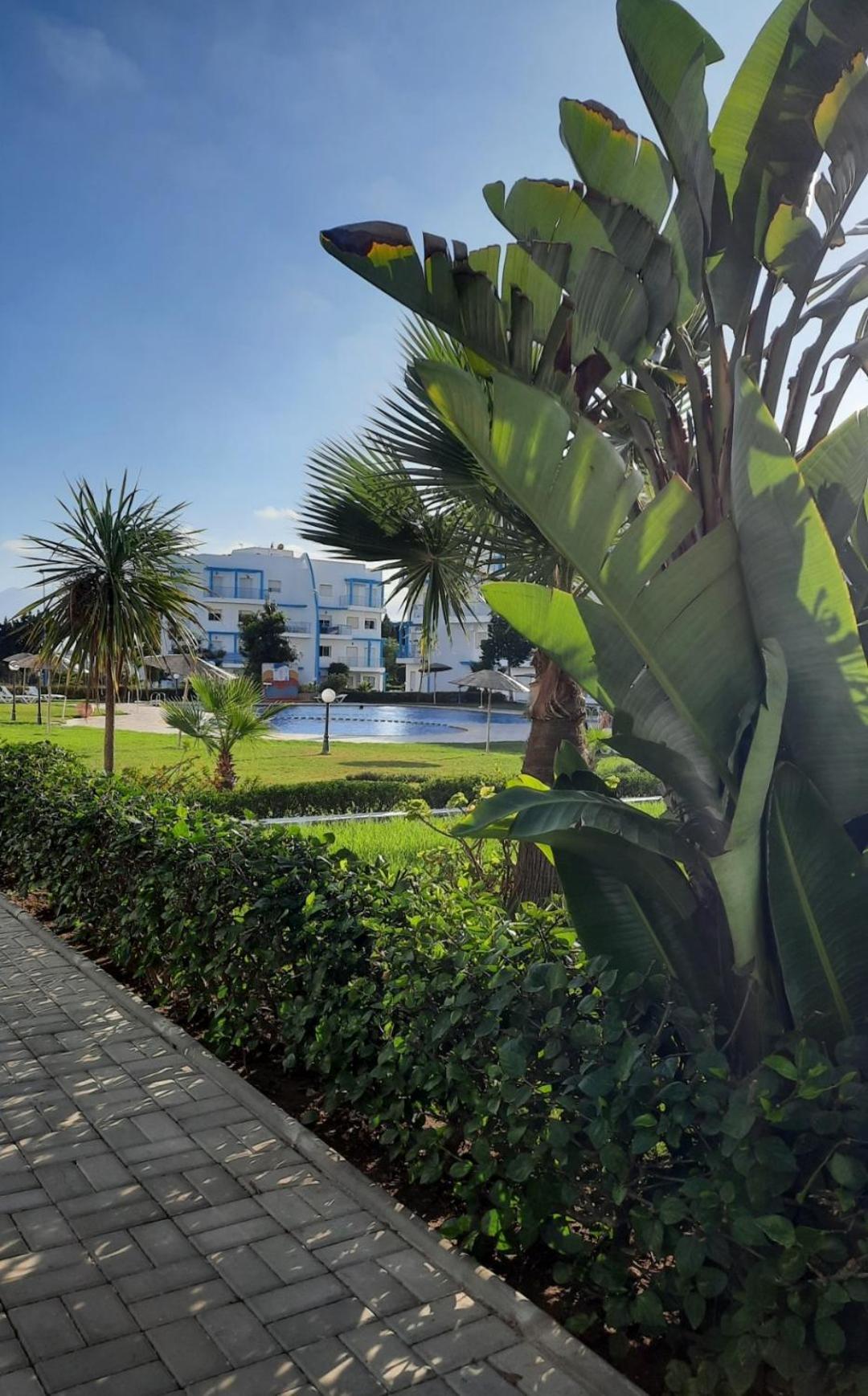 Lovely In Cab0 Negr0 Apartment Cabo Negro